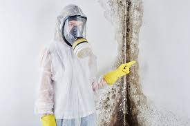 Best Commercial Mold Inspection  in Havre, MT